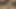 Alman amatör genç pov halka açık yanıp sönen amatör porno