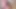 Giantess tinies ile oynuyor