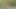 izle kıllı annabelle lee dokunma kendini