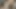 Busty kız çıplak iken archaeopteryx paleoart boyar