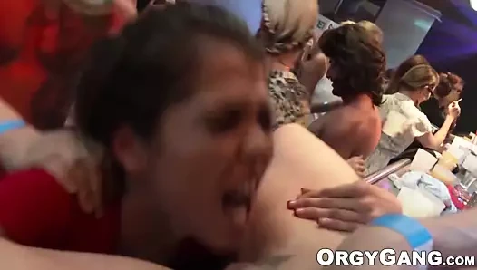 Vahşi parti babes Başlarken becerdin ve yeme kedi