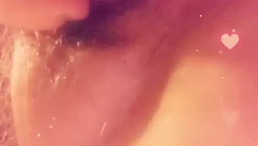 Alay ve kahrolası benim tombul kıllı kedi ile benim 9 inç oyuncak