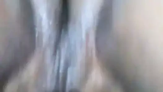 Düzenli en iyi ırklar