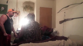 hendek domuzu Sheena