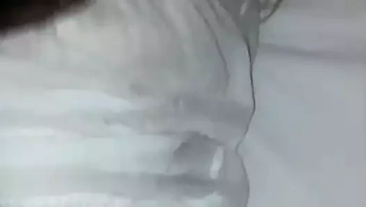 onu kedi almak kolay