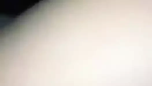 Ma chienne de panam