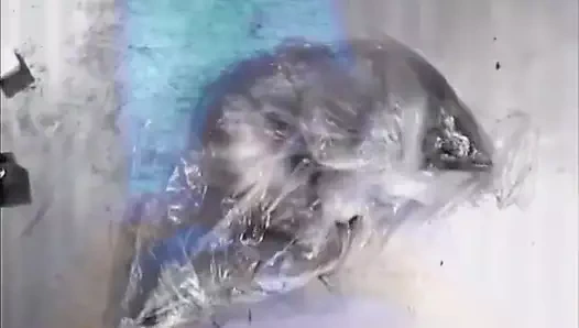 Alevli sarışın tahrik edici üçlü grup sekste çifte sikiliyor