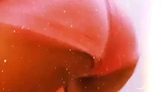 VAI SOBE E DESCE ESSA RABA MARIA EDUARDA VAGABA DO RABETAO