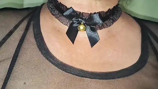 Meon Meaon Ben Kitty Cat