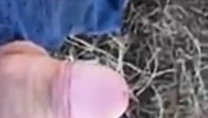 Kocanın en iyi yaptığı şey çiftlikte ekim zamanı