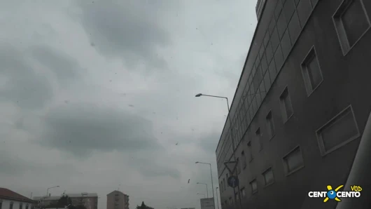 Monza'da zafer (tam film centoxcento)