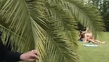 drncm classic dp e28