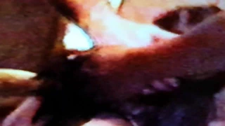 sürtük karısı 13