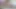 Muslim beautiful indian bhabhi hard sex video