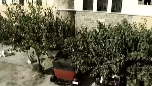 enfes seks malikanesi