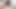 Sıcak genç savannah altı gets aşağı üzerinde ona dizler için emmek bir çük