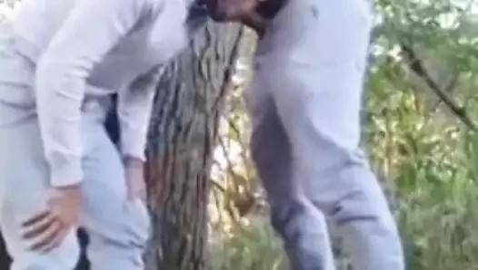 Bu kekler her seferinde onları alıyor