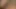 seksi köle alır onu KEDİ alay