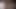 Tribute pour Elysa-exhib (secretsliver)