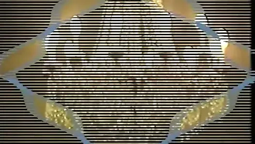 Erotik tutku 4 (1990)