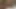 Devekuşu yumurta seks yarışı - grup seks oyunları