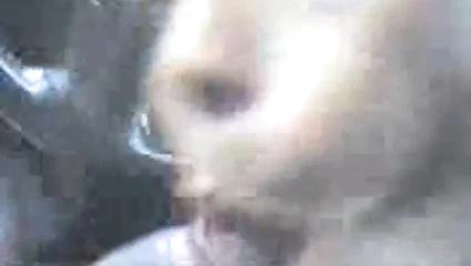 Daha fazla yol başı....genç amatör