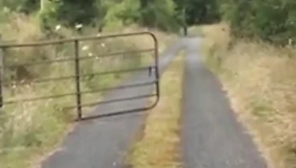 Kuzenlerin seksi göt dansı