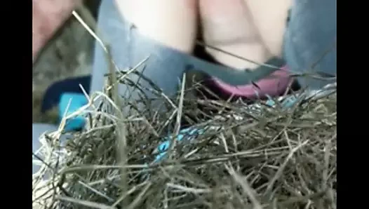 Ahırdaki fahişe....