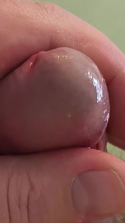 Islak beyaz kokulu süt