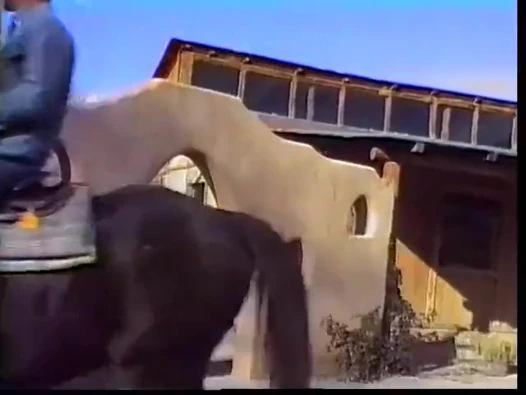 İki ateşli beyaz eşcinsel kovboy yarak emmeyi ve sıkı göt deliğini sikmeyi seviyor