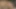 Digitalplayground - Vixen Raven Alexis Avrupalı yarak için bir yarak emiyor