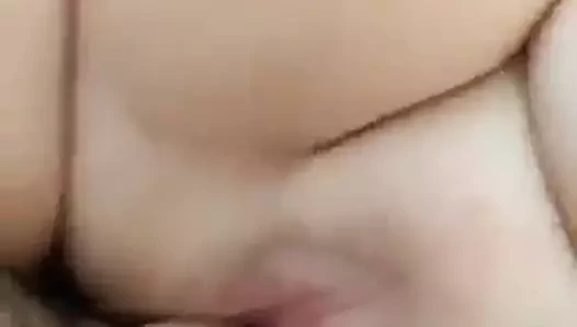 Tatlı kahrolası kedi