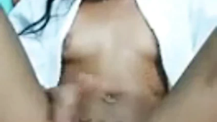 Perereca suicida da tigresa