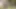 Seksi esmer amatör Veronica Stone büyük bir yarağı ateşli deliklerinin derinliklerine alıyor