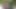 Olgun Kızlar Bahçede Birbirlerine Mastürbasyon Yapıyor Ve Birbirlerinin Vajinalarını Dildo Yapıyor