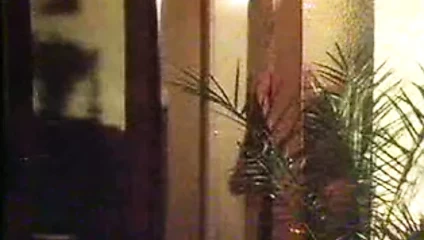 Netzstrumpfe (lola filmi)