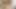 İki seksi latin ateşli lezbiyen seksin ve makaslamanın tadını çıkarıyor