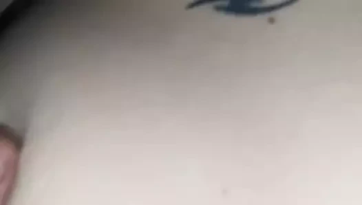 Sik içinde seksi kedi