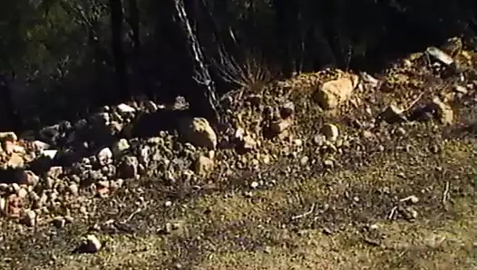 Fick mich unter palmen (1986, tam film, Almanca, dvd rip)