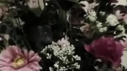 İki erkek bir sürtük