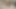 Venezuelalı kadın Kolombiyalı ile porno videosu çekiyor