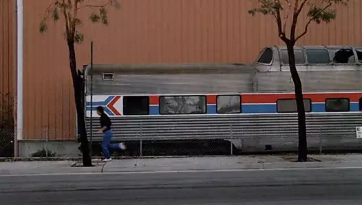 Zevk labirenti (1986)