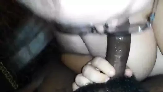 Yaşlı beyaz kiracı