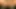 Damlayan ıslak yakın yukarı kedi ve yapay penis üzerinde web kamerası