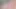 Pembe saçlı kız arkadaşı şehvetli oral seks verir - yutmak