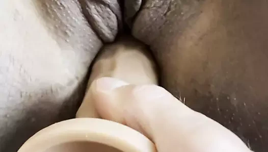 Kedi onun için çok büyük olan yapay penis alır