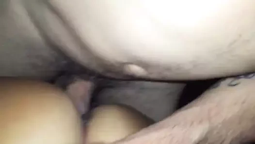 Latina on ganimet kedi