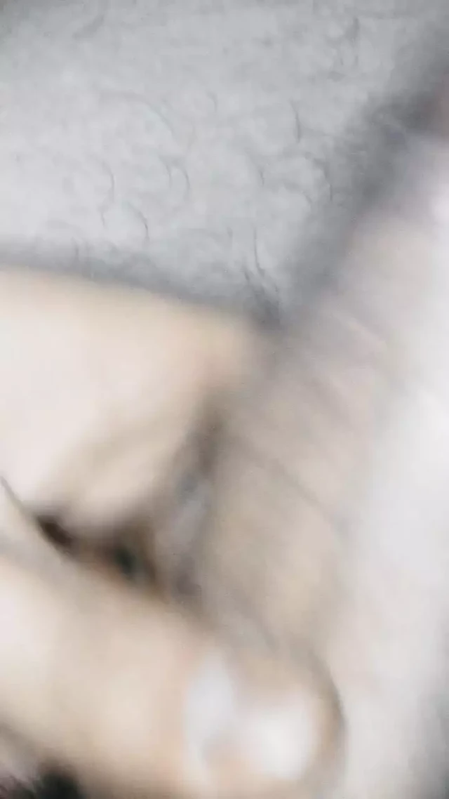 Kolombiyalı büyük bir yarak ve kıçından süt için bir arzu ile
