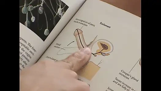 Adicktion: Büyük, devasa siyah bir horozla deney yapmak isteyen bir prenses