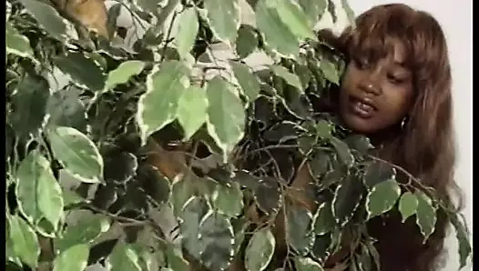 Azgın şişman piliç kanepede emmek için uzun bir siyah alet alıyor